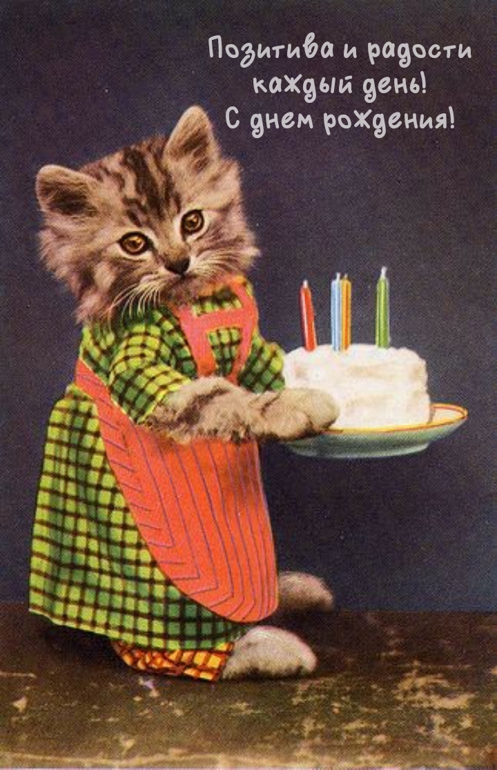 Позитива и радости каждый день! С днем рождения!