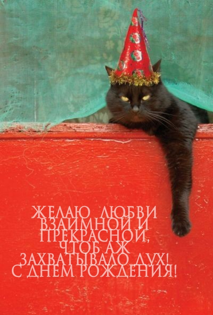 Желаю любви взаимной и прекрасной, чтоб аж захватывало дух!