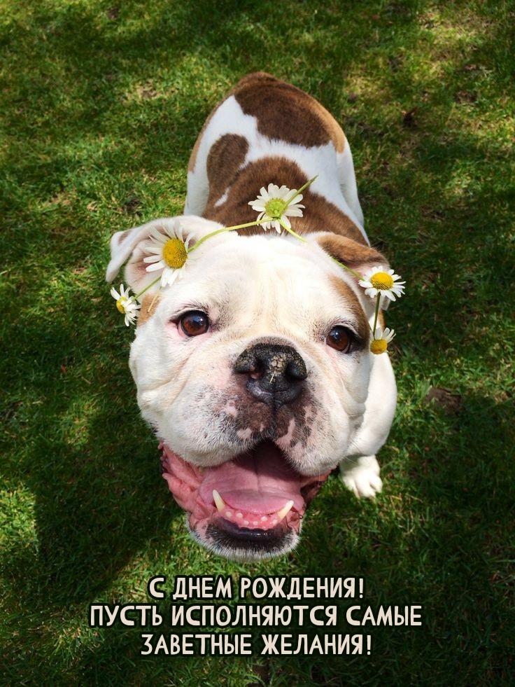 С днем рождения! Пусть исполняются самые заветные желания!