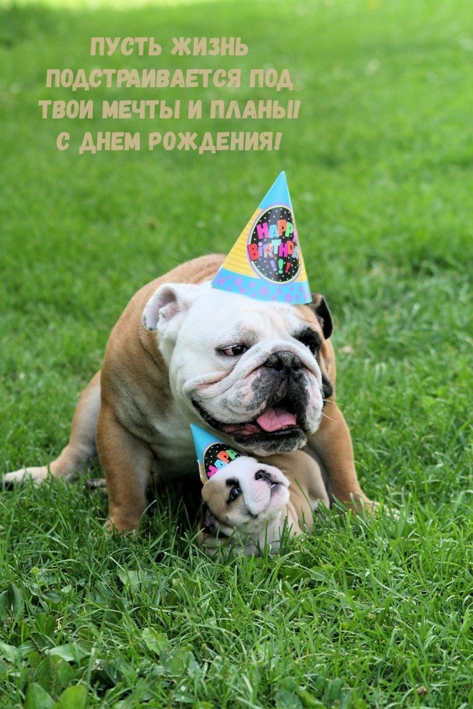 Пусть жизнь подстраивается под твои мечты и планы!