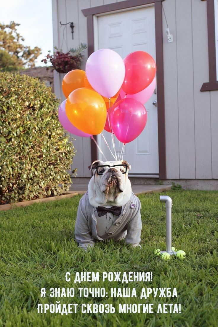Я знаю точно: наша дружба пройдет сквозь многие лета!