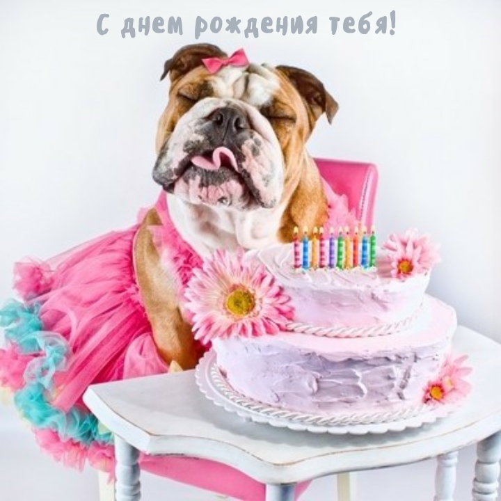 С днем рождения тебя!