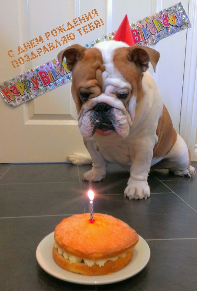 С днем рождения поздравляю тебя!