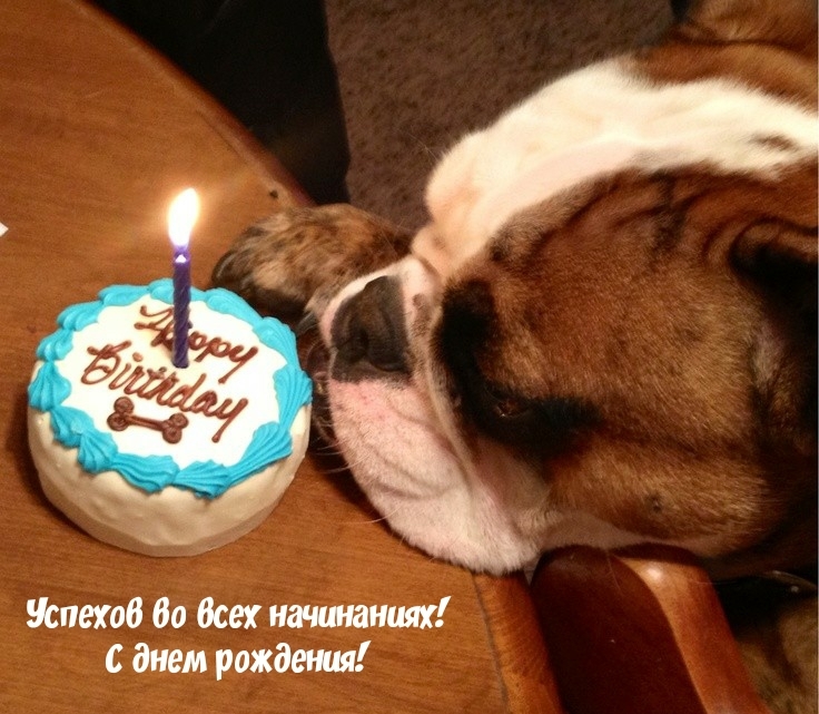 Успехов во всех начинаниях! С днем рождения!