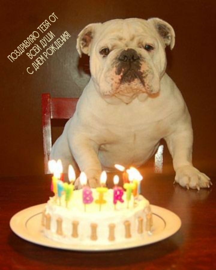 Поздравляю тебя от всей души с днем рождения!