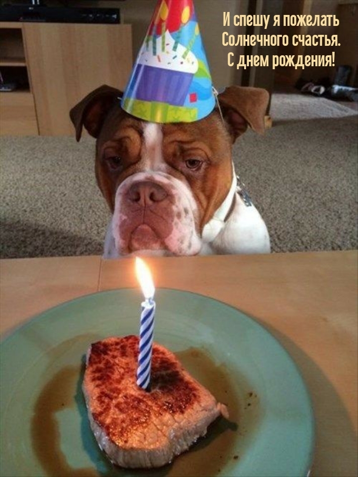 И спешу я пожелать солнечного счастья. С днем рождения!