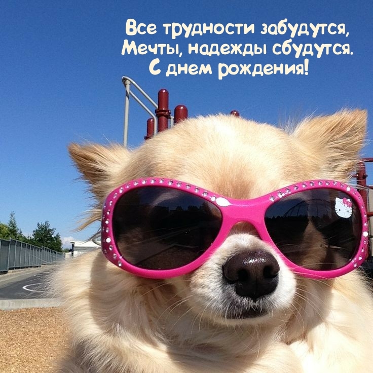 Все трудности забудутся, мечты, надежды сбудутся. С днем рождения!   