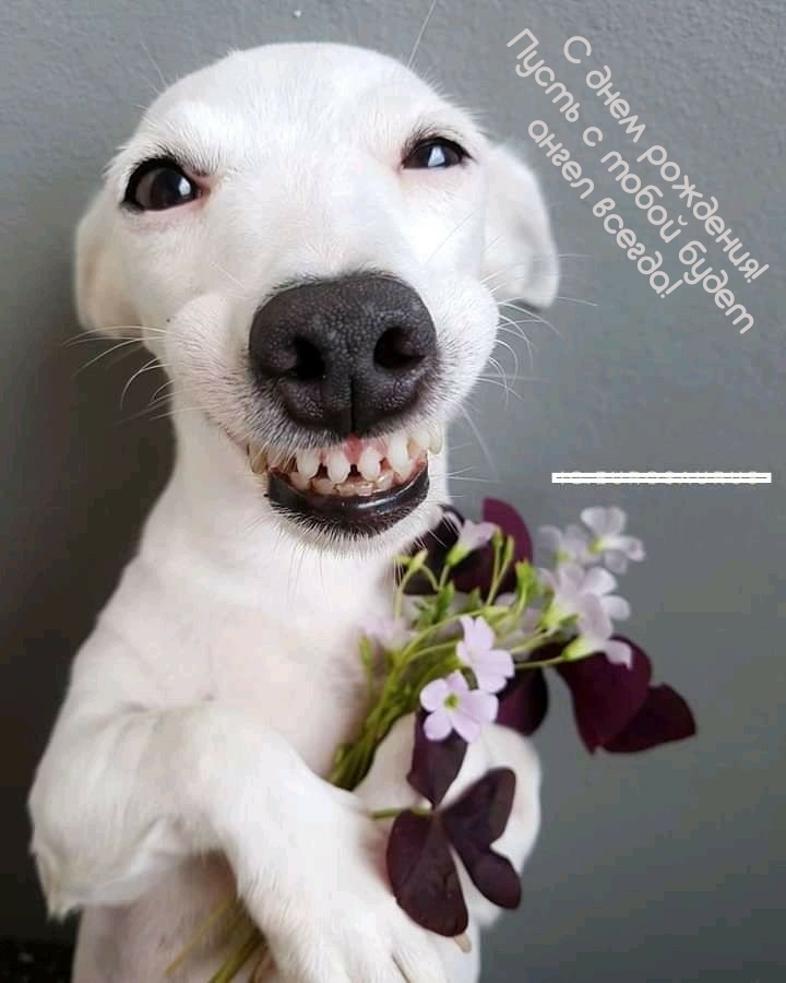 С днем рождения! Пусть с тобой будет ангел всегда!