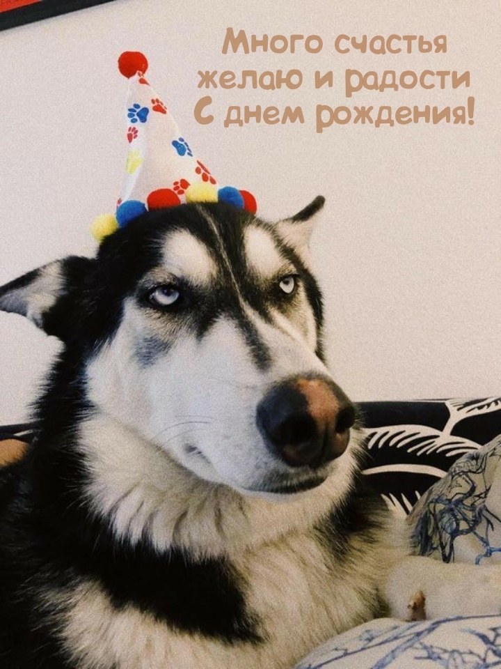Много счастья желаю и радости С днем рождения!