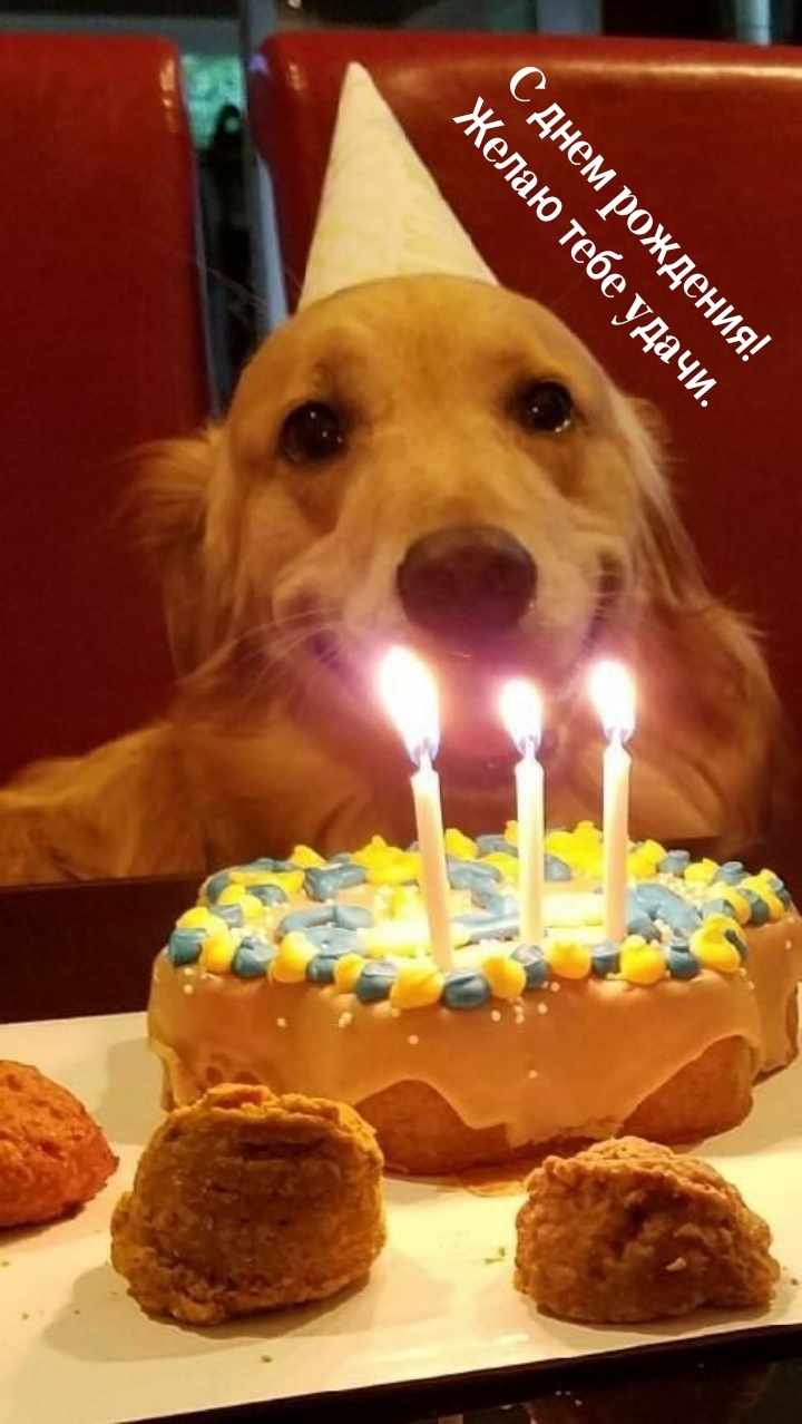 С днем рождения! Желаю тебе удачи.