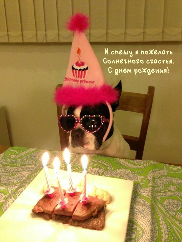 И спешу я пожелать солнечного счастья. С днем рождения!