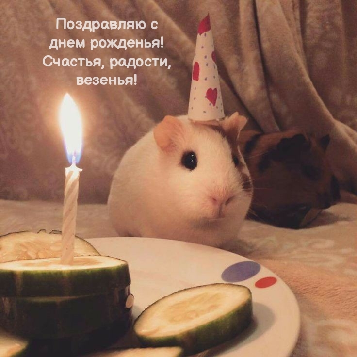 С днем рожденья! Счастья, радости, везенья!