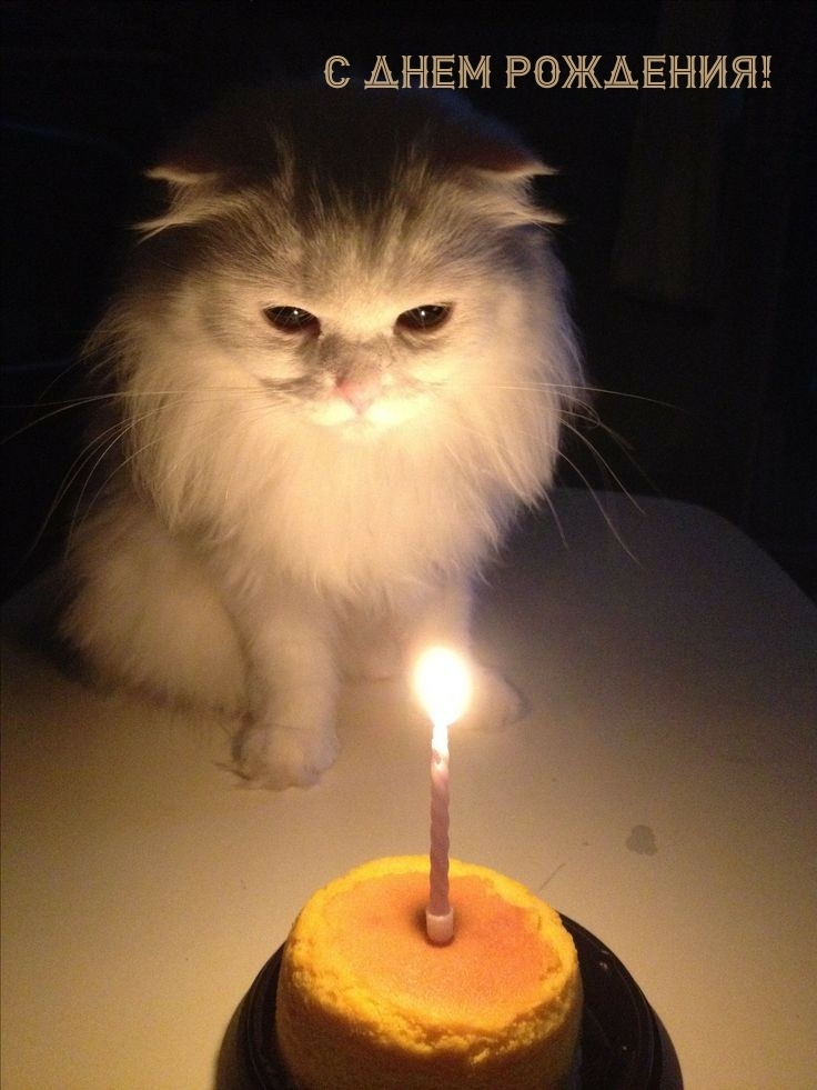 С днем рождения!