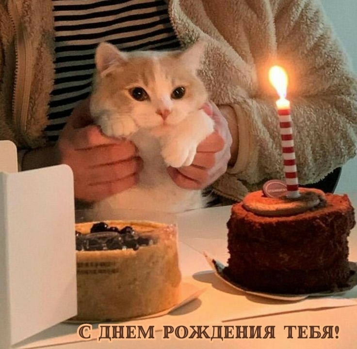С днем рождения тебя!