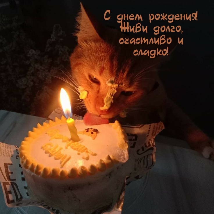 С днем рождения! Живи долго, счастливо и сладко!