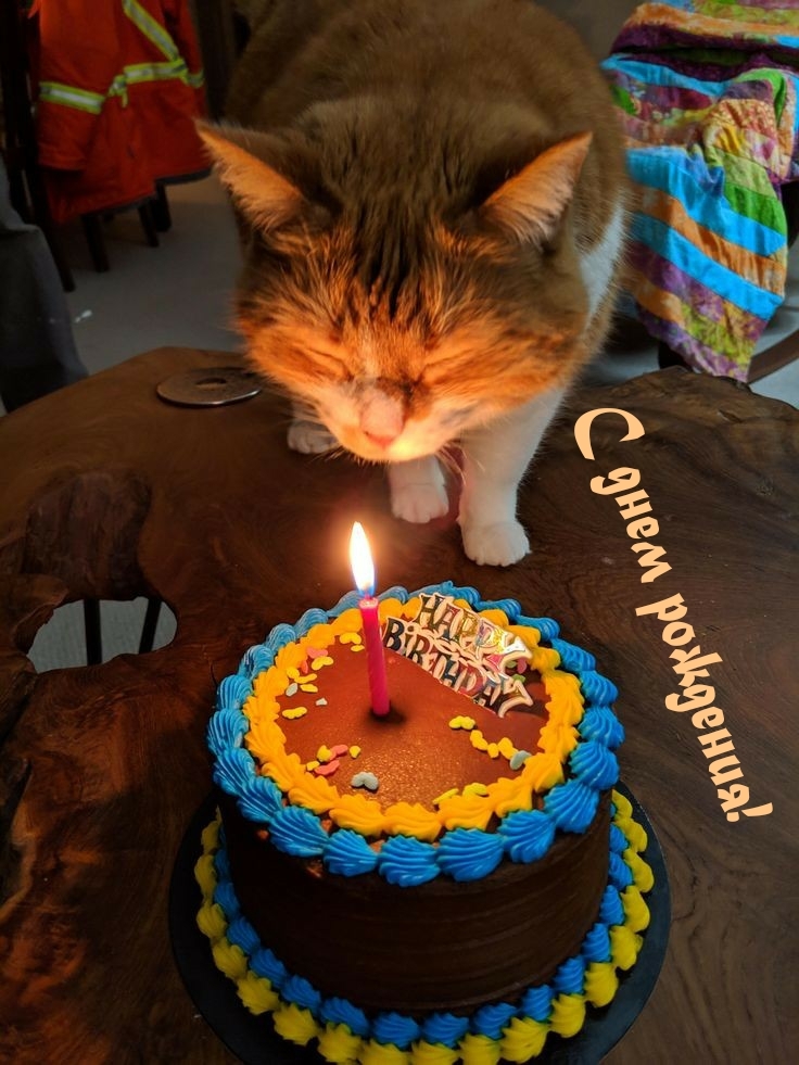 С днем рождения!