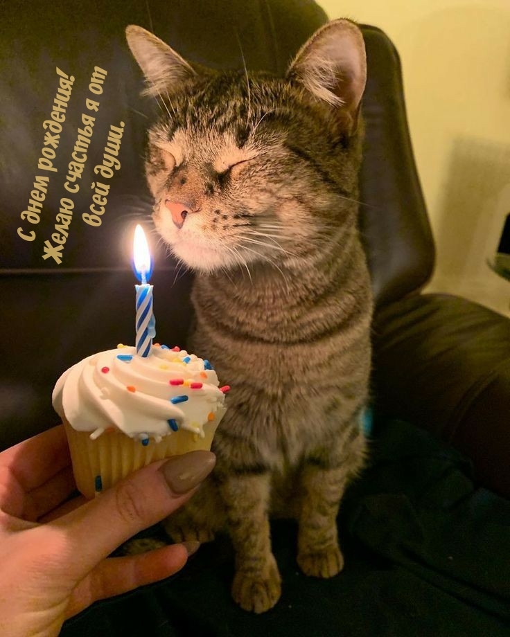 С днем рождения! Желаю счастья я от всей души.