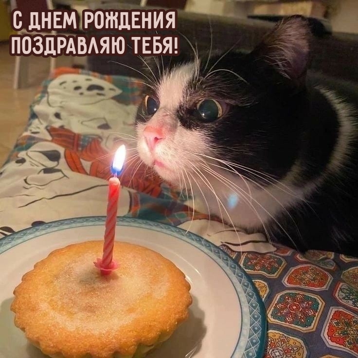 С днем рождения поздравляю тебя!
