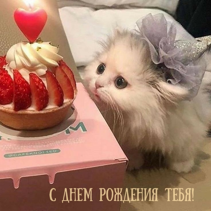 С днем рождения!