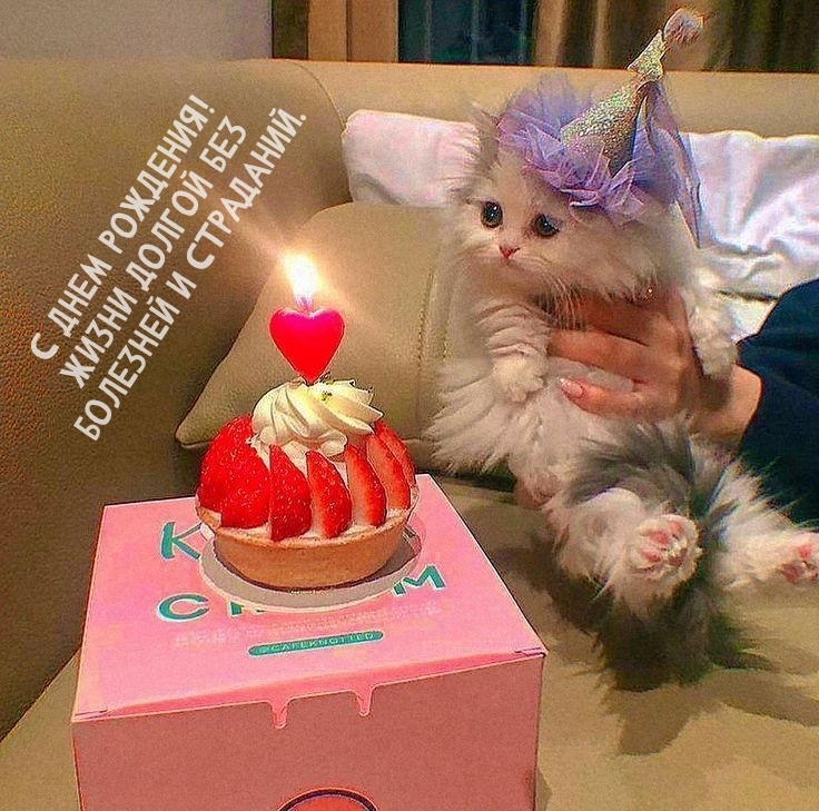 С днем рождения! Жизни долгой без болезней и страданий.