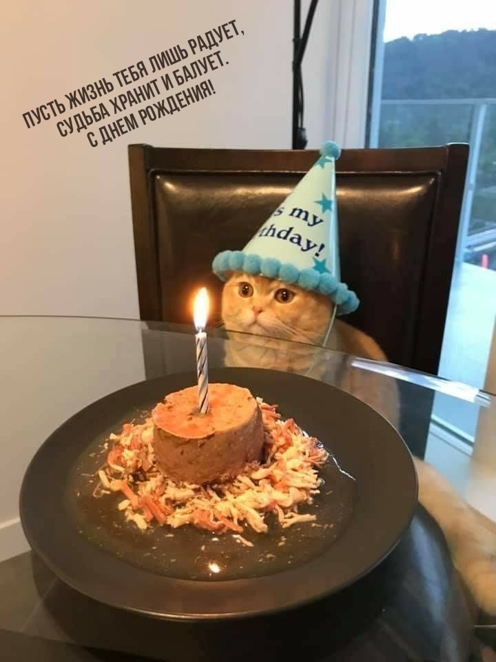 Пусть жизнь лишь радует, судьба хранит и балует. С днем рождения!