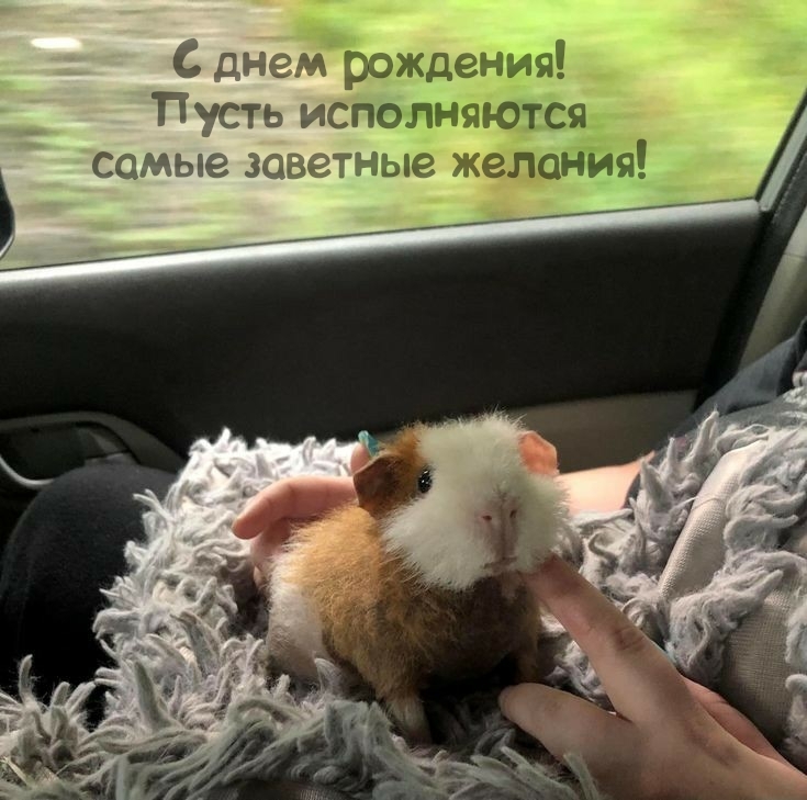 С днем рождения! Пусть исполняются самые заветные желания!