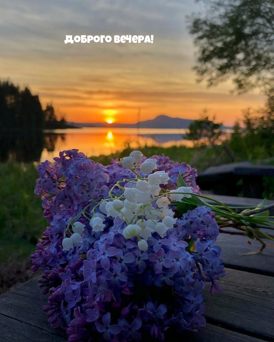 Доброго вечера!