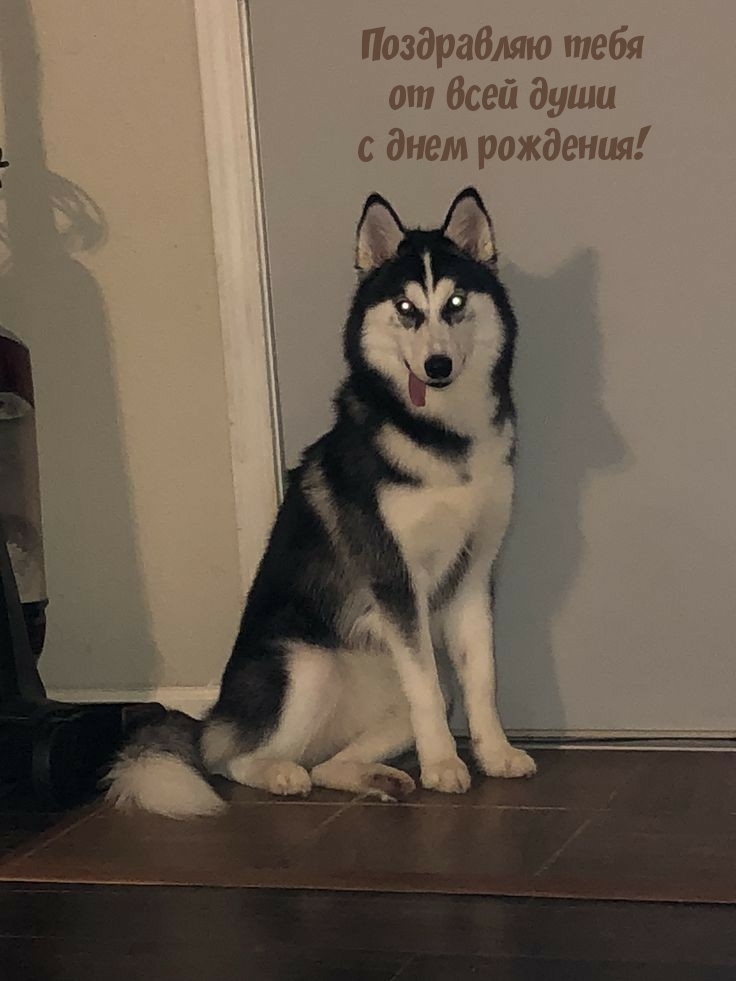 Поздравляю тебя от всей души с днем рождения!