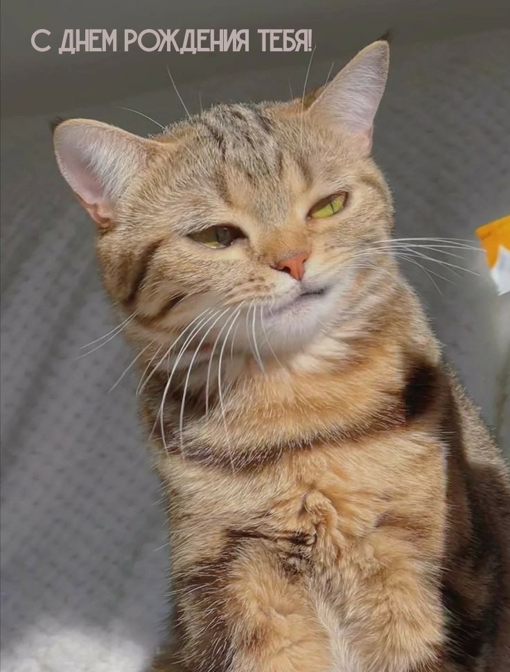 С днем рождения тебя!