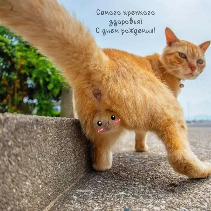 Самого крепкого здоровья! С днем рождения!