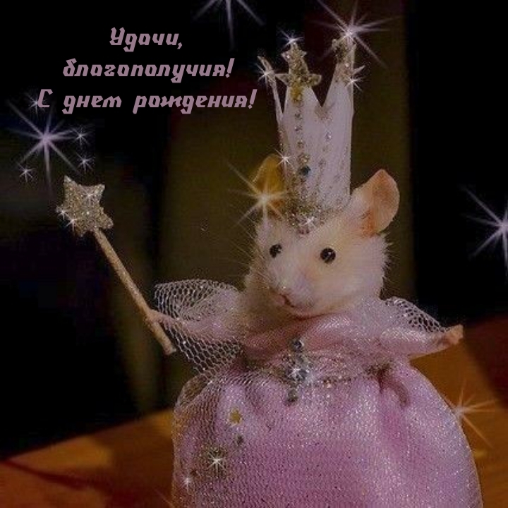 Удачи, благополучия! С днем рождения!