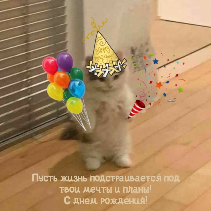 Пусть жизнь подстраивается под мечты и планы! С днем рождения!