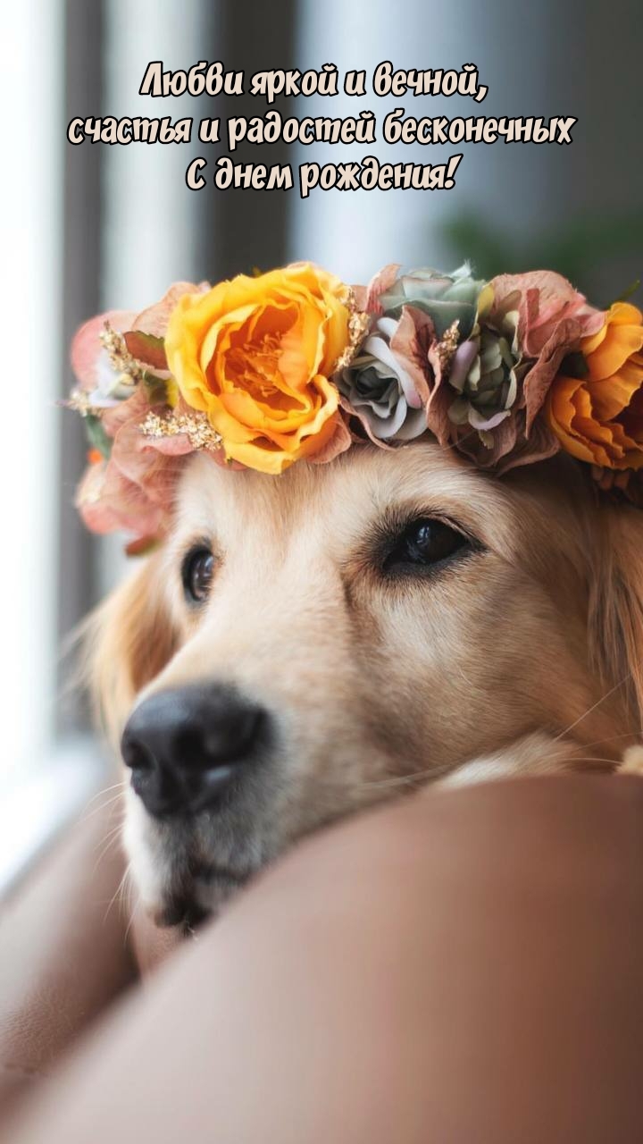 Любви яркой и вечной, счастья и радостей бесконечных