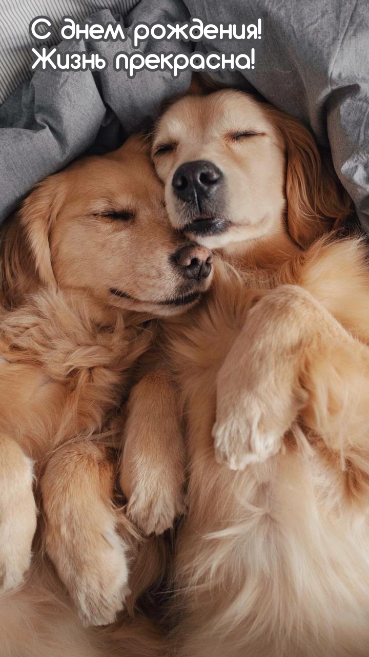 С днем рождения! Жизнь прекрасна!