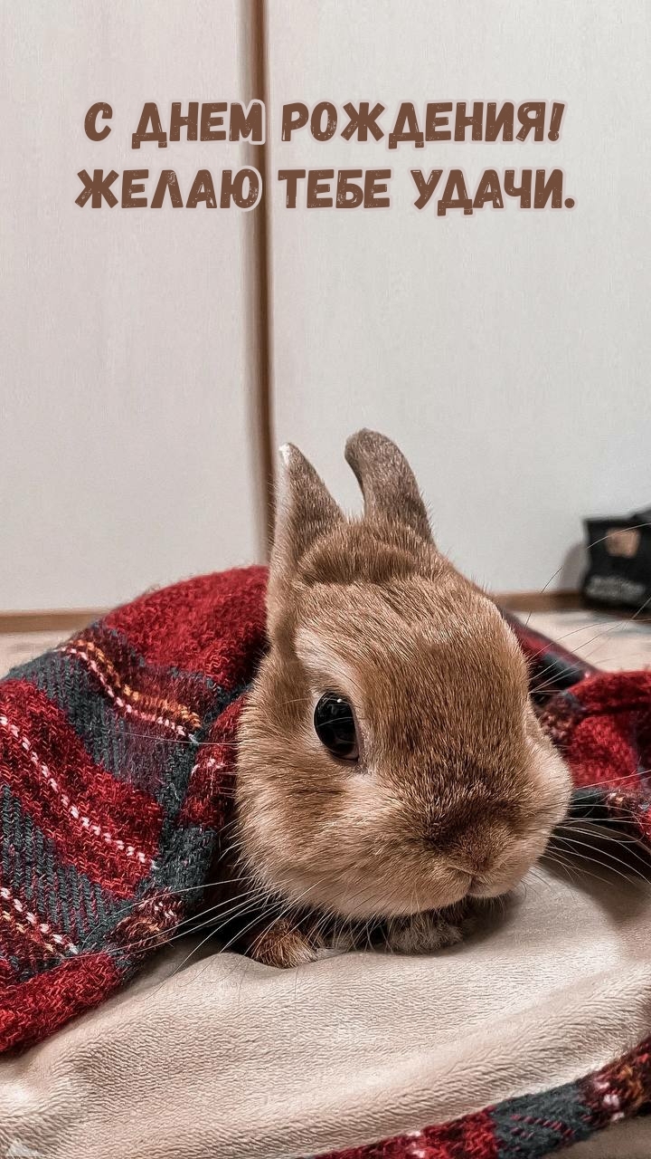 С днем рождения! Желаю тебе удачи.