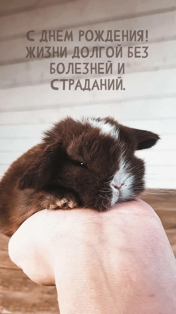 С днем рождения! Жизни долгой без болезней и страданий.