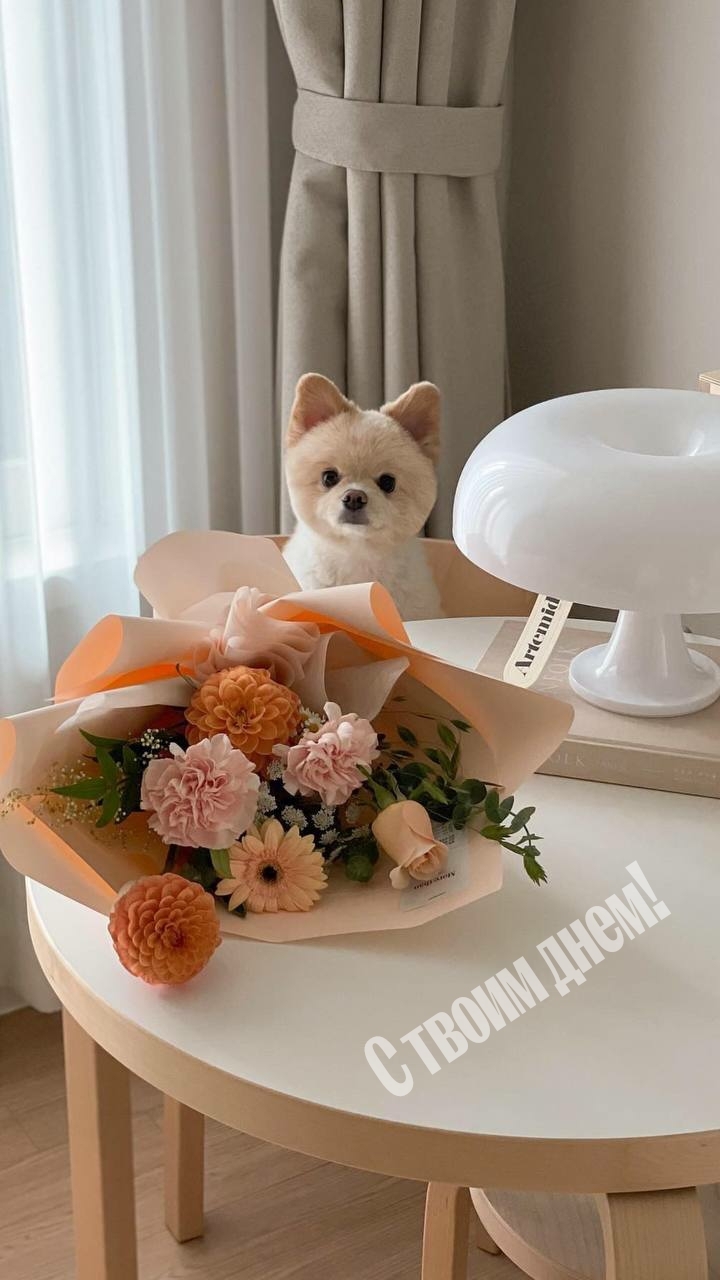 С твоим днем!