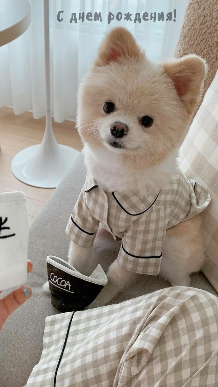 С днем рождения!