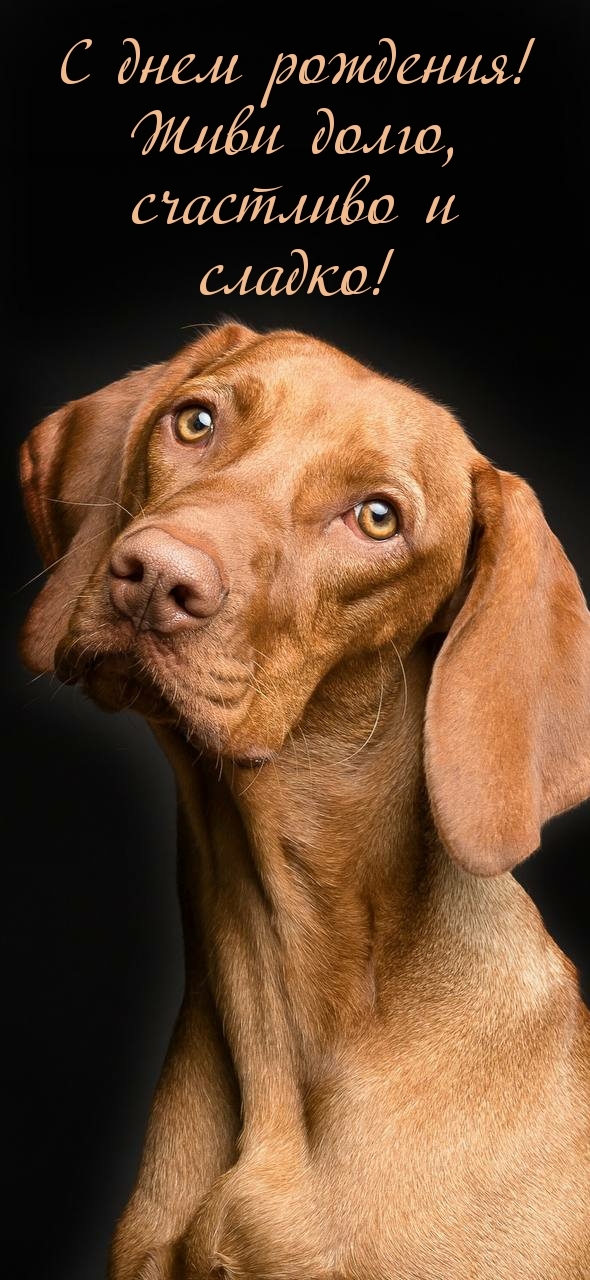 С днем рождения! Живи долго, счастливо и сладко!