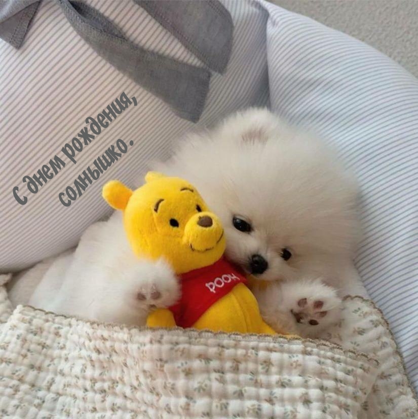 С днем рождения, солнышко.