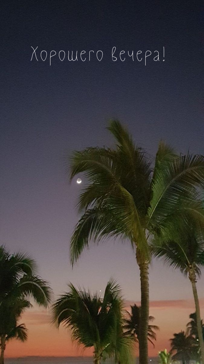 Хорошего вечера!