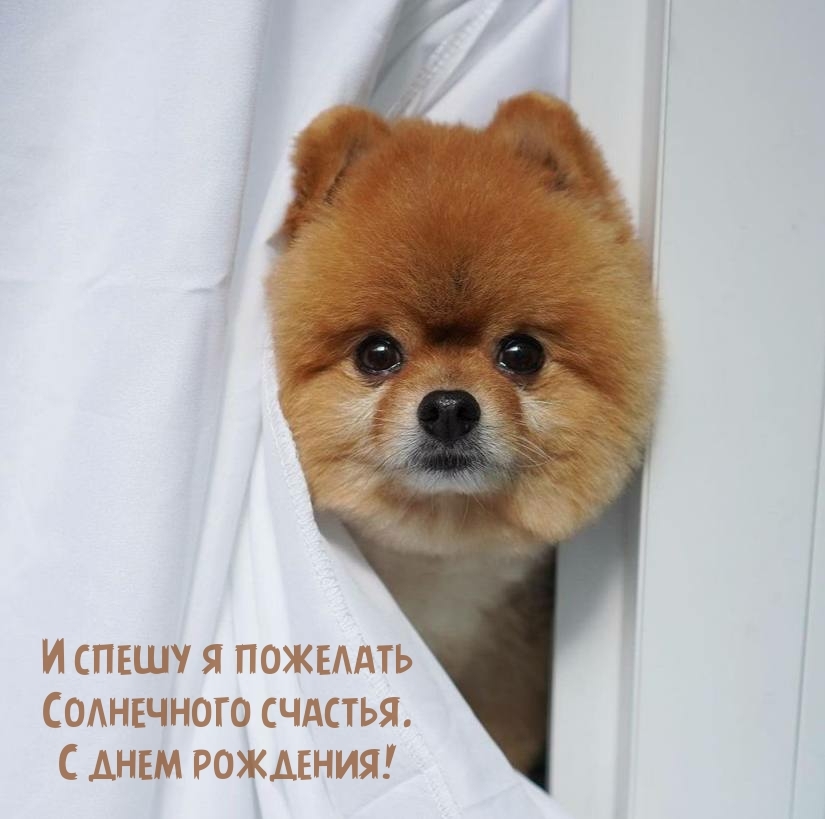 И спешу я пожелать солнечного счастья. С днем рождения!