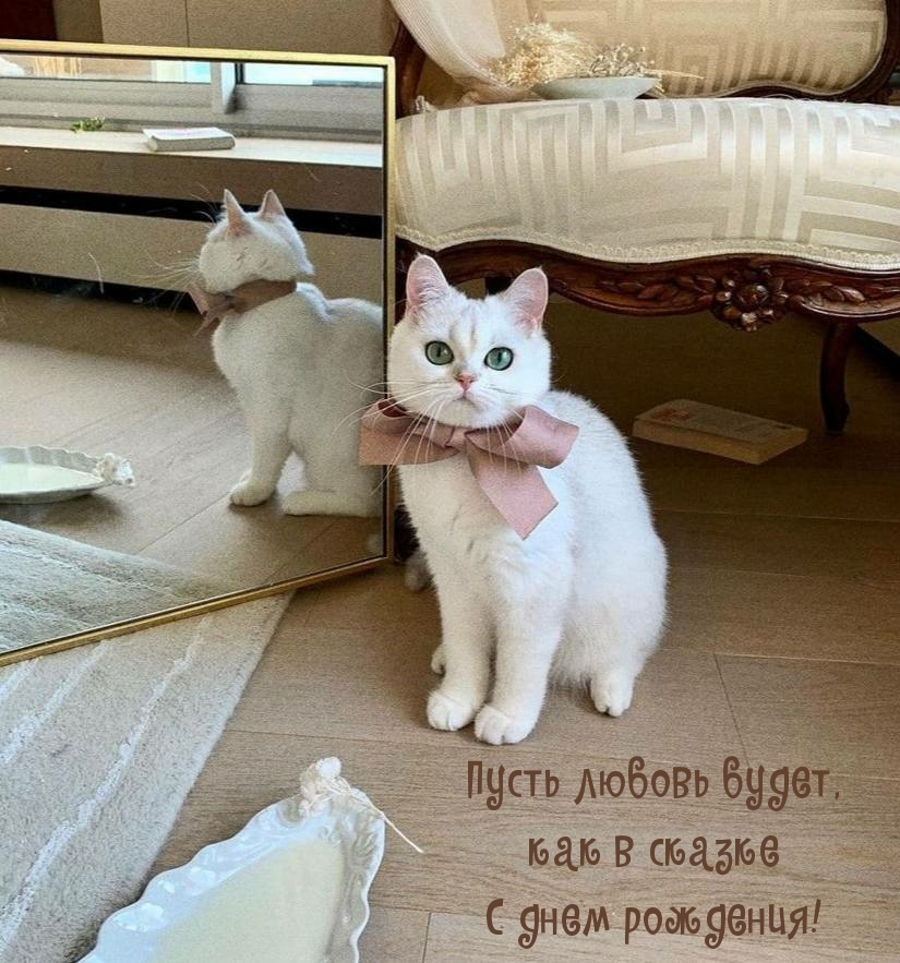 Пусть любовь будет, как в сказке С днем рождения!