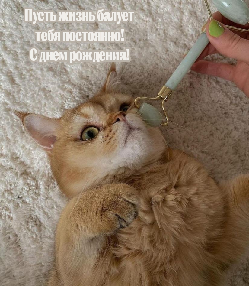 Пусть жизнь балует тебя постоянно! С днем рождения!