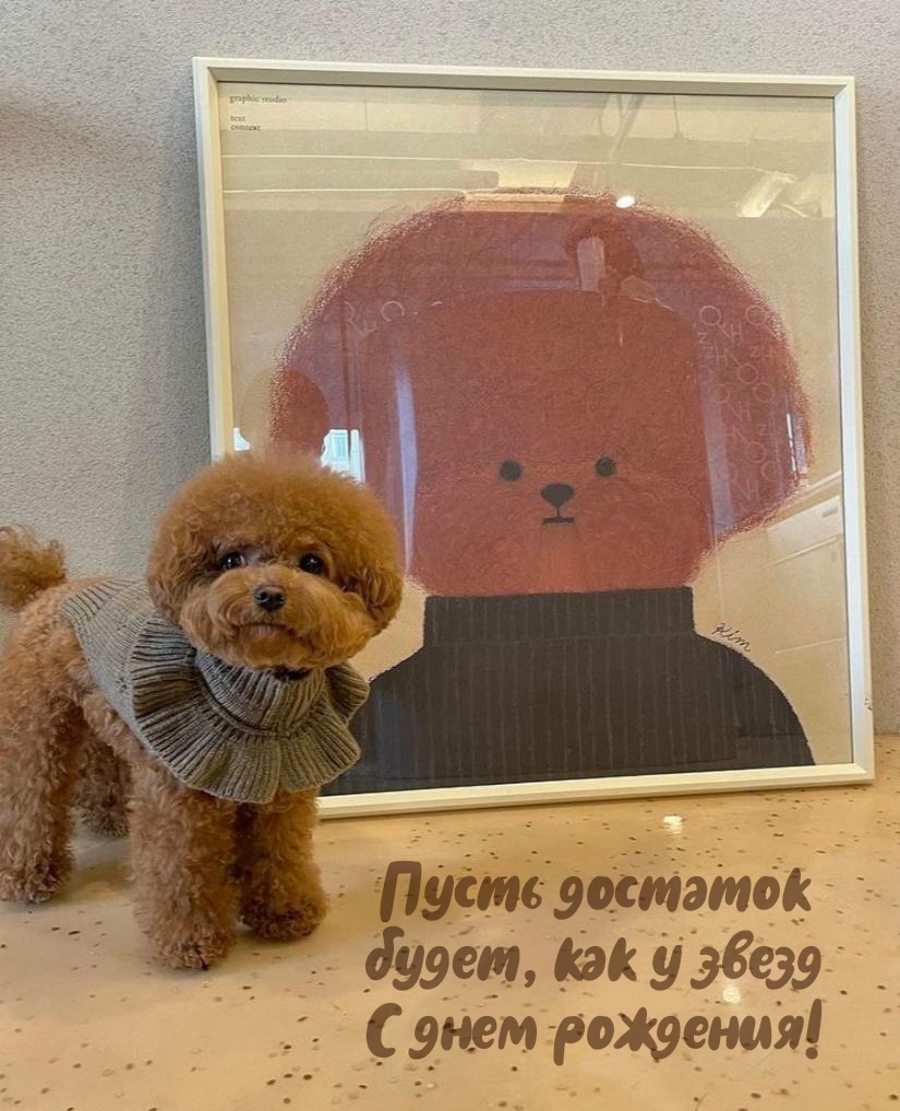 Пусть достаток будет, как у звезд с днем рождения!