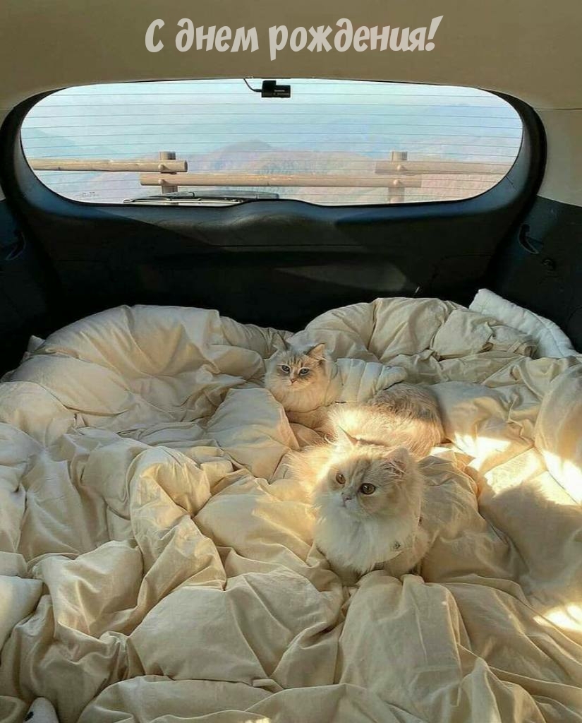 С днем рождения!