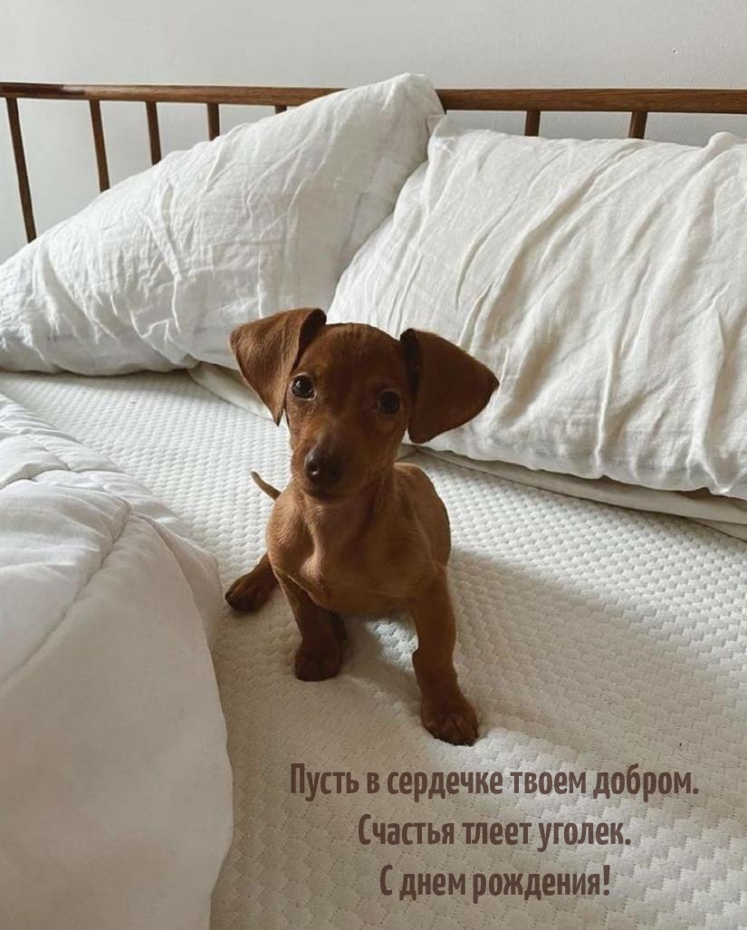 Пусть в сердечке твоем добром. Счастья тлеет уголек.