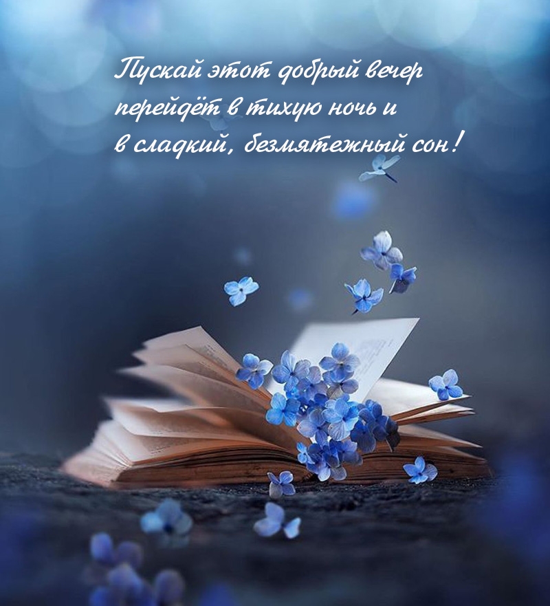 Пускай этот добрый вечер перейдёт в тихую ночь 