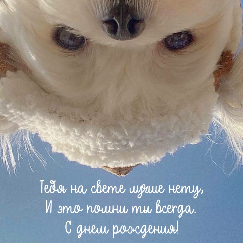 С днем рождения! Тебя на свете лучше нету