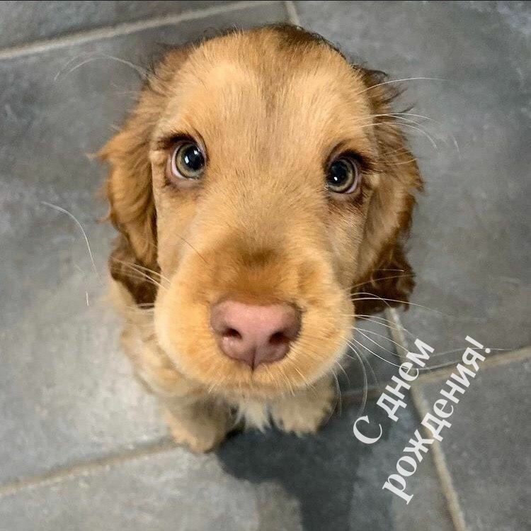 С днем рождения!